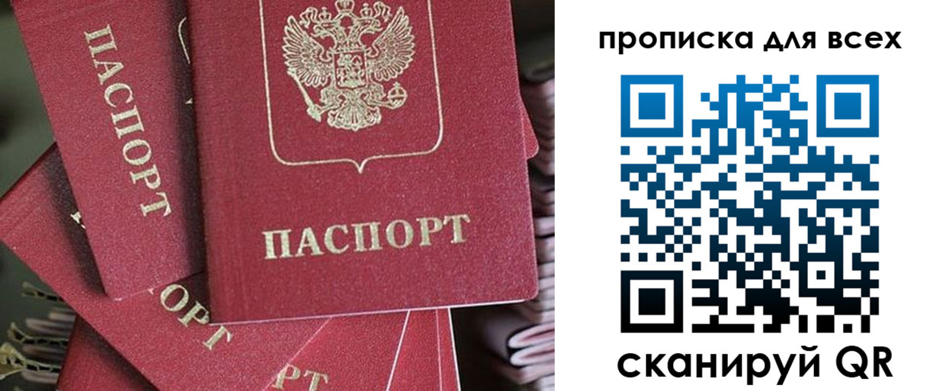 временная регистрация 2025 в Светлом